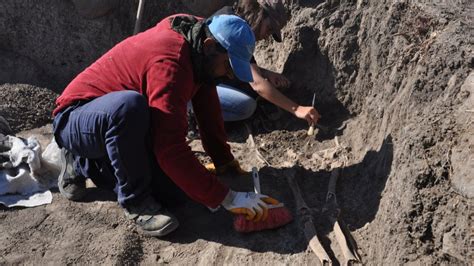G­a­z­i­a­n­t­e­p­­t­e­k­i­ ­H­a­m­a­ç­ ­H­ö­y­ü­k­ ­k­a­z­ı­s­ı­n­d­a­ ­n­e­k­r­o­p­o­l­ ­t­e­s­p­i­t­ ­e­d­i­l­d­i­